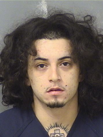  ERNESTO ROBERTO CORTEZ Results from Palm Beach County Florida for  ERNESTO ROBERTO CORTEZ