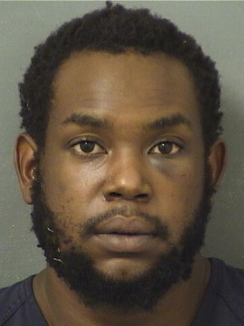  SIMSON ELIE Results from Palm Beach County Florida for  SIMSON ELIE