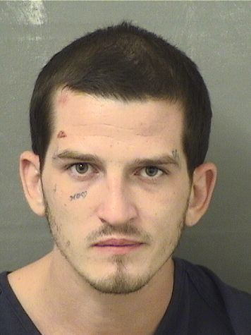  PAUL ALEXANDER BARTSCH Resultados de la busqueda para Palm Beach County Florida para  PAUL ALEXANDER BARTSCH