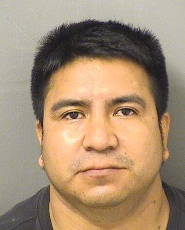 CARLOS ALFREDOLOPEZ PEREZ Results from Palm Beach County Florida for  CARLOS ALFREDOLOPEZ PEREZ