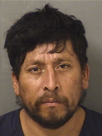  JORGE JACOBO Results from Palm Beach County Florida for  JORGE JACOBO