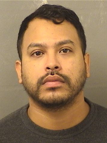  LUIS JOSE PALOMINO Results from Palm Beach County Florida for  LUIS JOSE PALOMINO