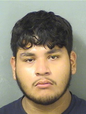  MAURICIO EVANGELISTACOVARRUB Results from Palm Beach County Florida for  MAURICIO EVANGELISTACOVARRUB