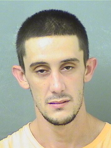  JOSEPH SCOTT MANGANIELLO Resultados de la busqueda para Palm Beach County Florida para  JOSEPH SCOTT MANGANIELLO