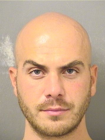  MICHAEL CHRISTOPHER ROIDIS Results from Palm Beach County Florida for  MICHAEL CHRISTOPHER ROIDIS