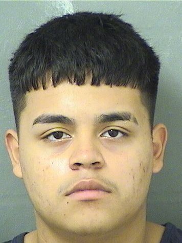  LUIS ALBERTO OQUENDOFRANCISCO Results from Palm Beach County Florida for  LUIS ALBERTO OQUENDOFRANCISCO