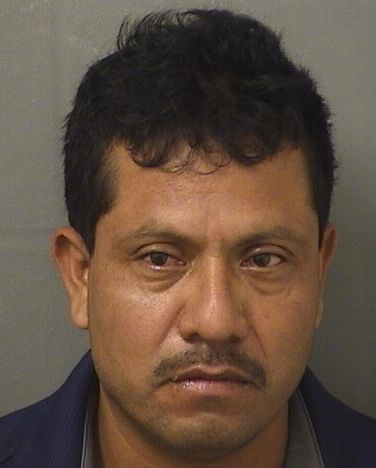  GREGORIO JOEL DIAZPEREZ Resultados de la busqueda para Palm Beach County Florida para  GREGORIO JOEL DIAZPEREZ