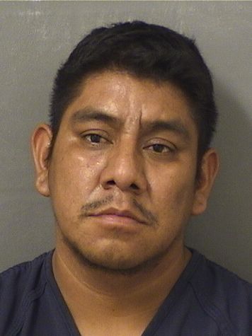  ROBERTO DOMINGOAGUILAR Results from Palm Beach County Florida for  ROBERTO DOMINGOAGUILAR