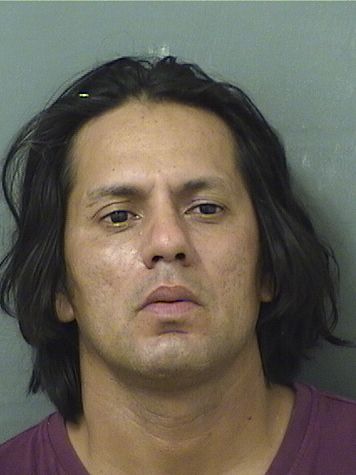  WILSON CABALLERO Results from Palm Beach County Florida for  WILSON CABALLERO