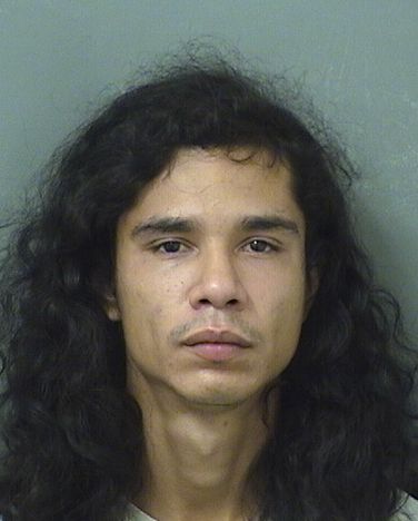  FABIO JAVIER RODRIGUEZBATISTA Results from Palm Beach County Florida for  FABIO JAVIER RODRIGUEZBATISTA