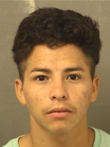  JOSE GUILLERMO ZAPATA Results from Palm Beach County Florida for  JOSE GUILLERMO ZAPATA