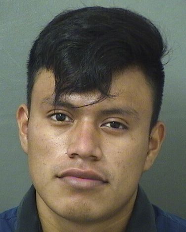  AMBROCIO HOMERO DELEON Results from Palm Beach County Florida for  AMBROCIO HOMERO DELEON