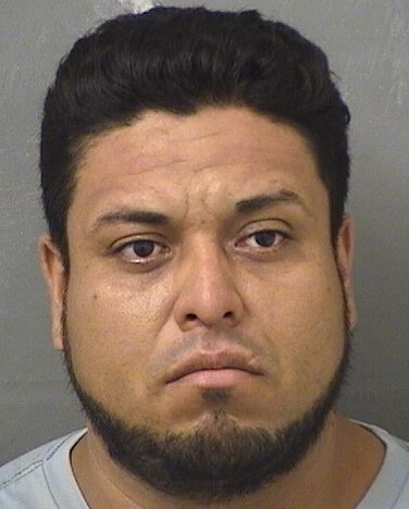  RUDY AMILCAR CERONLEMUS Results from Palm Beach County Florida for  RUDY AMILCAR CERONLEMUS