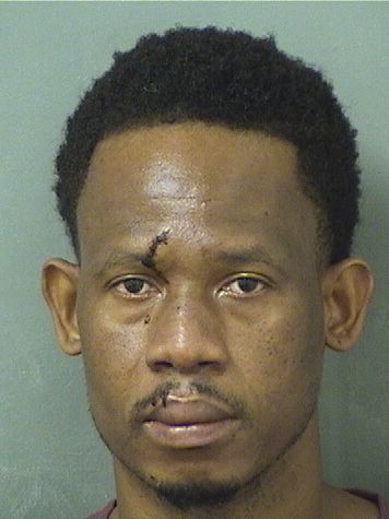  WALNER ALCIUS Results from Palm Beach County Florida for  WALNER ALCIUS