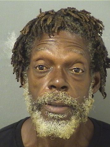  BRUCE LEONARD HENDERSON Results from Palm Beach County Florida for  BRUCE LEONARD HENDERSON