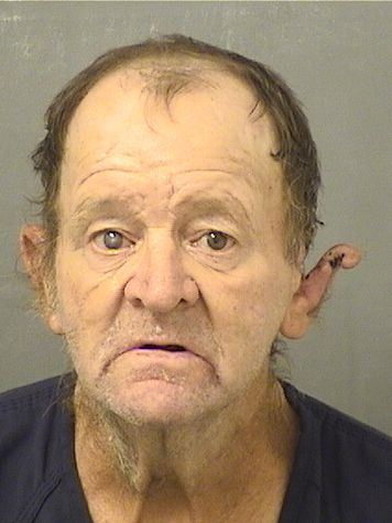  KEVIN PATRICK BRONSON Results from Palm Beach County Florida for  KEVIN PATRICK BRONSON