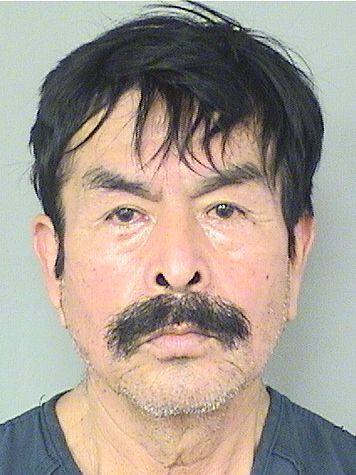  TOMAS ROQUEMENA Results from Palm Beach County Florida for  TOMAS ROQUEMENA