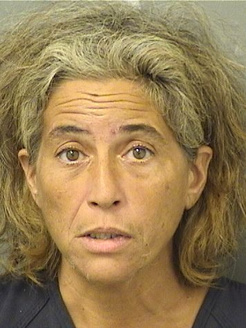  WENDY ANN TOGNACCI Results from Palm Beach County Florida for  WENDY ANN TOGNACCI