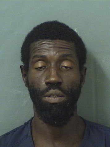  DENNIS WAYNE COLLINS Results from Palm Beach County Florida for  DENNIS WAYNE COLLINS