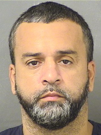  HENRY M ROSARIO Results from Palm Beach County Florida for  HENRY M ROSARIO