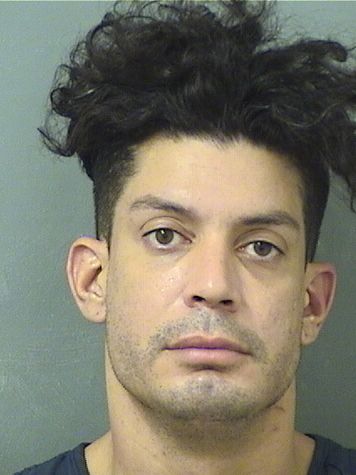  JOSE MANUEL GOYOS Results from Palm Beach County Florida for  JOSE MANUEL GOYOS