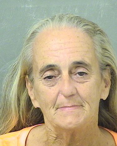  HEIDI IRENE WALLACE Results from Palm Beach County Florida for  HEIDI IRENE WALLACE