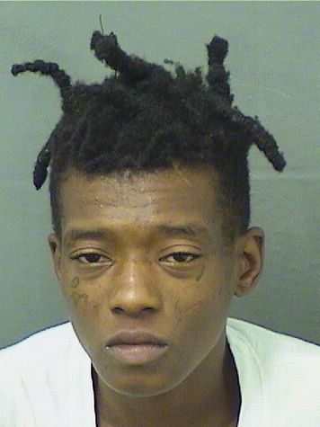  CHELSEA ROWNIQUE MONET TERRY Results from Palm Beach County Florida for  CHELSEA ROWNIQUE MONET TERRY