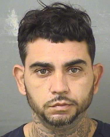  LUIS E MEJIARODRIGUEZ Resultados de la busqueda para Palm Beach County Florida para  LUIS E MEJIARODRIGUEZ