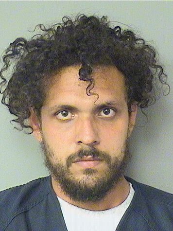  RICARDO NAVAMUEL Results from Palm Beach County Florida for  RICARDO NAVAMUEL