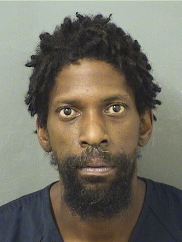  ROMEO DOMINIQUE BROWN Results from Palm Beach County Florida for  ROMEO DOMINIQUE BROWN