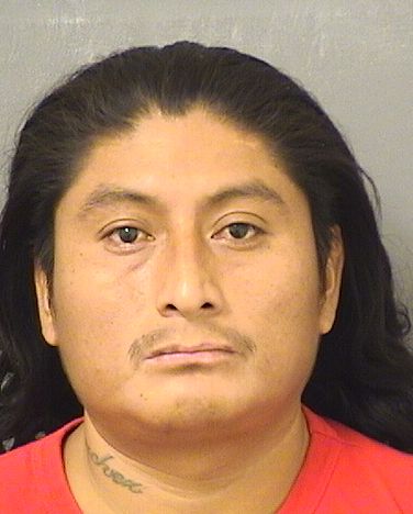  MAINOR SANCHEZ Photo For  MAINOR SANCHEZ