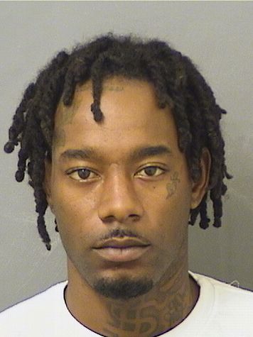  DOMINIC R MARTIN Results from Palm Beach County Florida for  DOMINIC R MARTIN