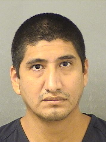  RICARDO RANGEL Results from Palm Beach County Florida for  RICARDO RANGEL
