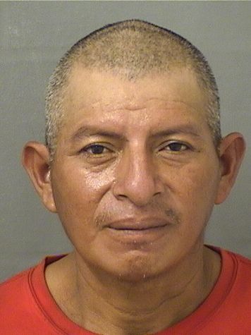  MIGUEL MATEO Photo For  MIGUEL MATEO