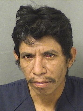 ABIDAMAR LOPEZCRUZ Results from Palm Beach County Florida for ABIDAMAR LOPEZCRUZ ABIDAMAR LOPEZCRUZ Results from Palm Beach County Florida for ABIDAMAR LOPEZCRUZ