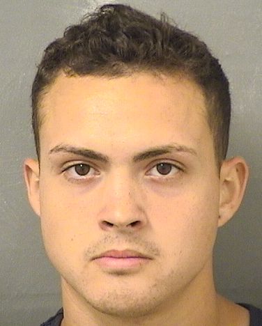  CRISTIAN LEON Results from Palm Beach County Florida for  CRISTIAN LEON