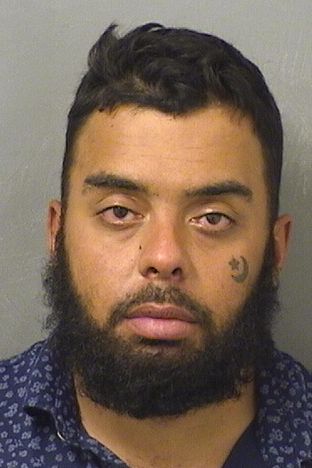  BRANDON THOMAS POUNDS Results from Palm Beach County Florida for  BRANDON THOMAS POUNDS