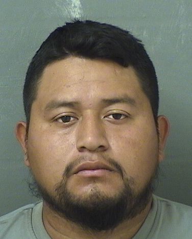  WILDEN E PEREZCHAVEZ Results from Palm Beach County Florida for  WILDEN E PEREZCHAVEZ