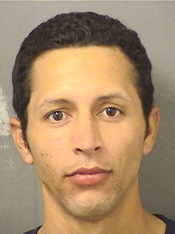  JUAN PAYAMPSARACENA Resultados de la busqueda para Palm Beach County Florida para  JUAN PAYAMPSARACENA