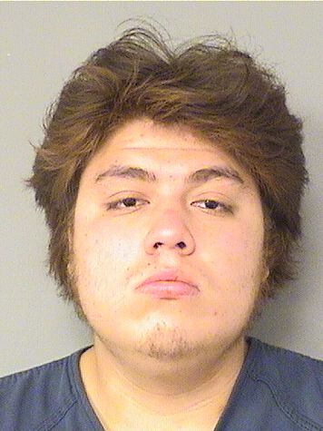 LEONARDO PACHECO Photos For  LEONARDO PACHECO  LEONARDO PACHECO Photo For  LEONARDO PACHECO