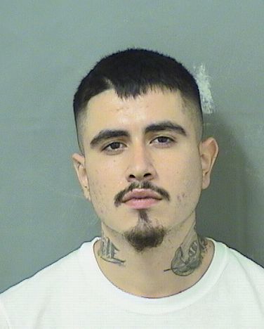  PEDRO ARMANDO PAYAN Results from Palm Beach County Florida for  PEDRO ARMANDO PAYAN