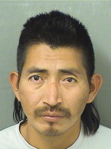  MARIO JUAN RAMOS Results from Palm Beach County Florida for  MARIO JUAN RAMOS