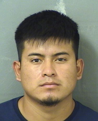  NICOLAS AGUILARMARTINEZ Results from Palm Beach County Florida for  NICOLAS AGUILARMARTINEZ
