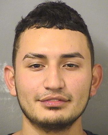  BRANDON CARDOZOMARTINEZ Results from Palm Beach County Florida for  BRANDON CARDOZOMARTINEZ