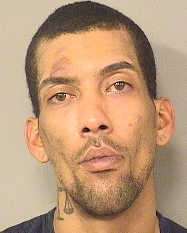  RICARDO MORALES BRAVO Results from Palm Beach County Florida for  RICARDO MORALES BRAVO