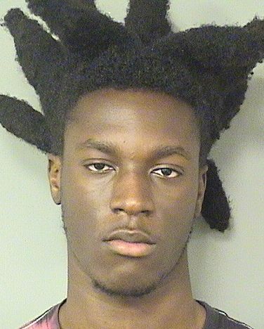  ERNSEAU THELEMARC Results from Palm Beach County Florida for  ERNSEAU THELEMARC