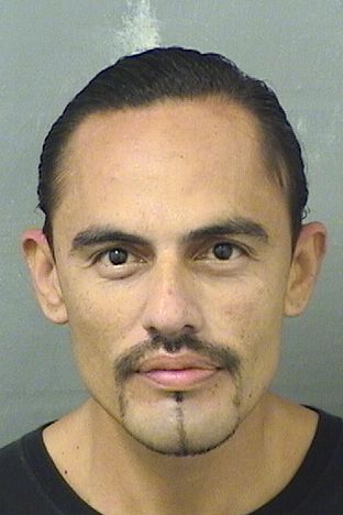  JOSE ANGEL REYNOSOFIGUEROA Results from Palm Beach County Florida for  JOSE ANGEL REYNOSOFIGUEROA