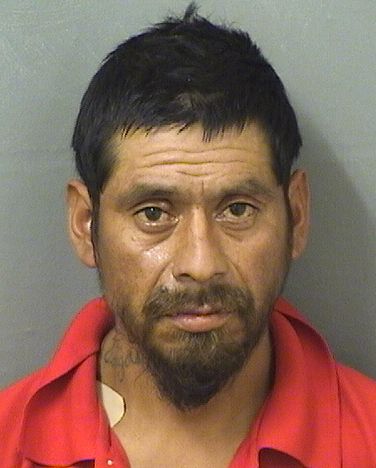  ANTONIO VARGAS Results from Palm Beach County Florida for  ANTONIO VARGAS