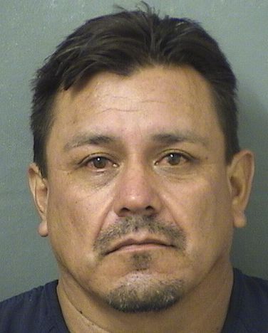  JAIME GOMEZ TOVAR Results from Palm Beach County Florida for  JAIME GOMEZ TOVAR