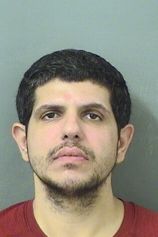  NICHOLAS ANGELO PALUMBO Results from Palm Beach County Florida for  NICHOLAS ANGELO PALUMBO
